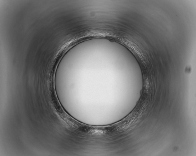 X0000101100352200806261050