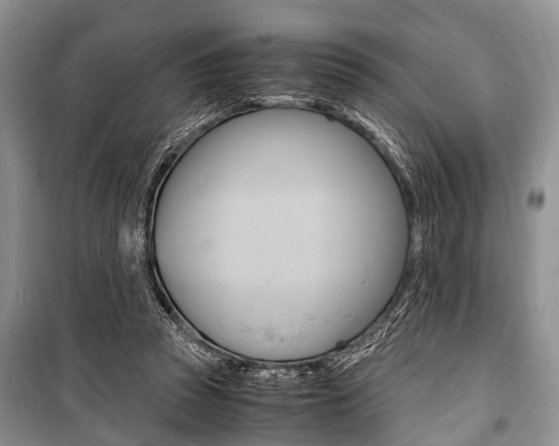 X0000101100353200806261050