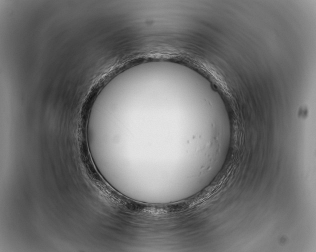 X0000101100354200806261050