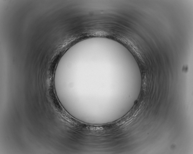 X0000101100355200806261050