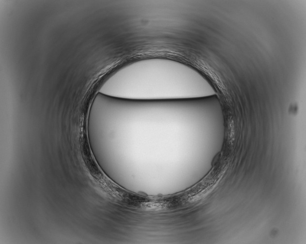 X0000101100356200806261050