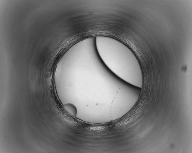 X0000101100357200806261050
