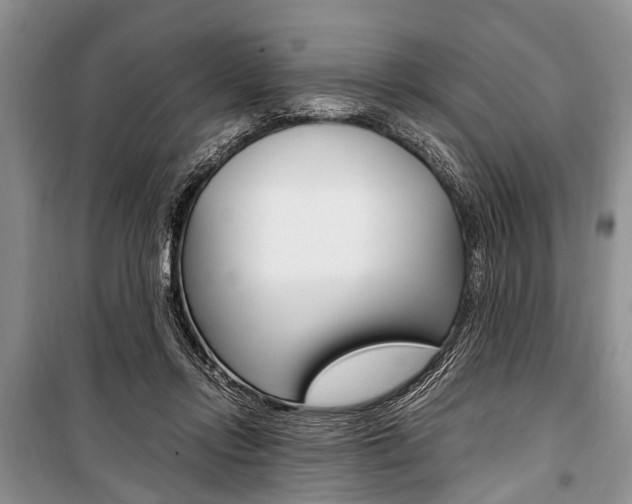 X0000101100358200806261050