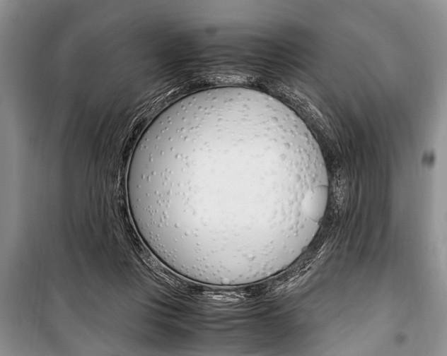 X0000101100359200806261050