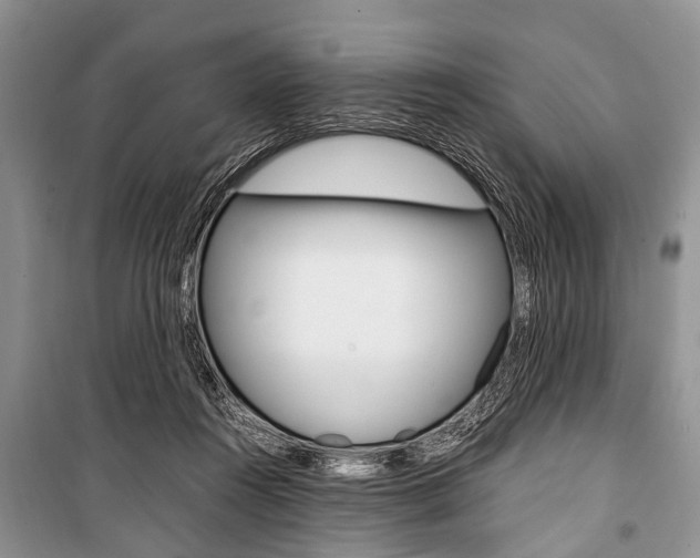 X0000101100360200806261050