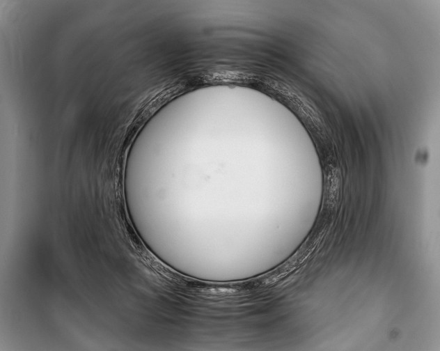 X0000101100361200806261050