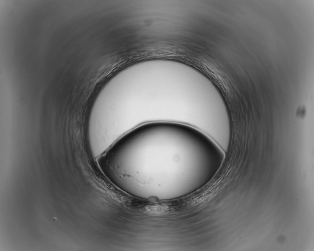 X0000101100362200806261050