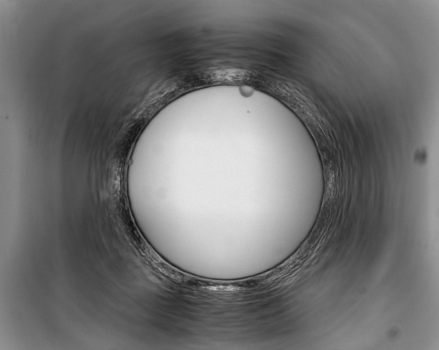 X0000101100363200806261050