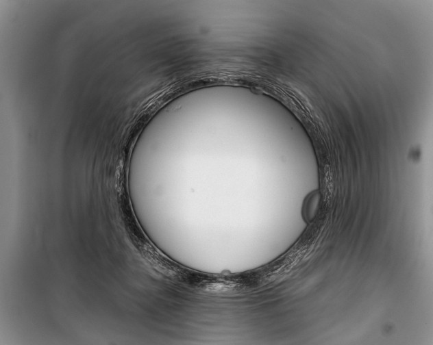 X0000101100364200806261050