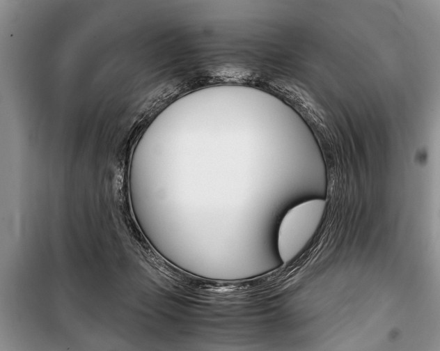 X0000101100365200806261050