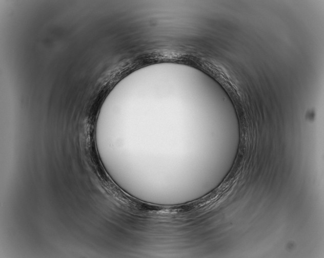 X0000101100366200806261050