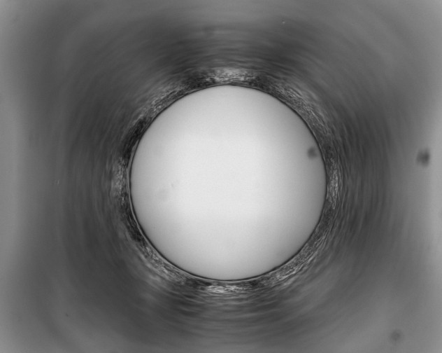 X0000101100367200806261050