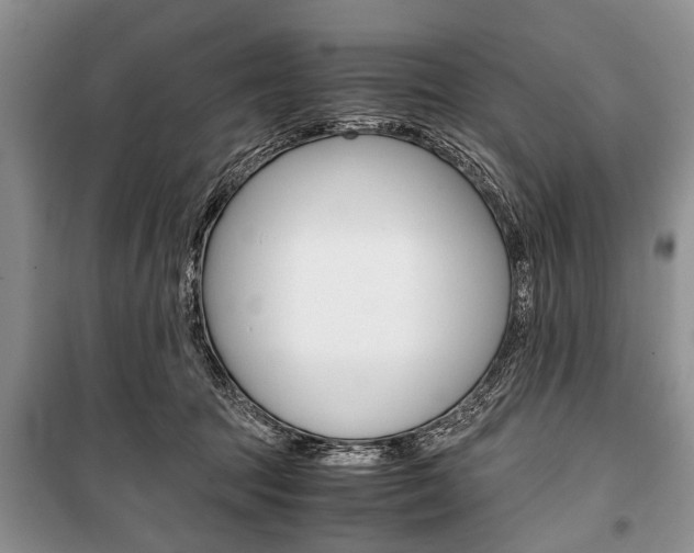 X0000101100369200806261050