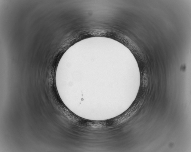 X0000101100370200806261050