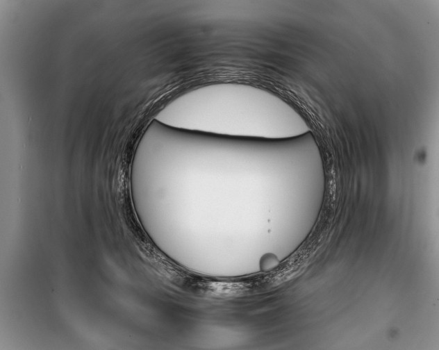 X0000101100371200806261050