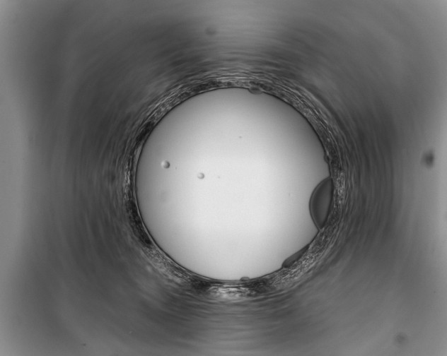 X0000101100372200806261050