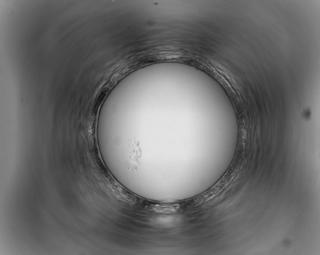 X0000101100373200806261050