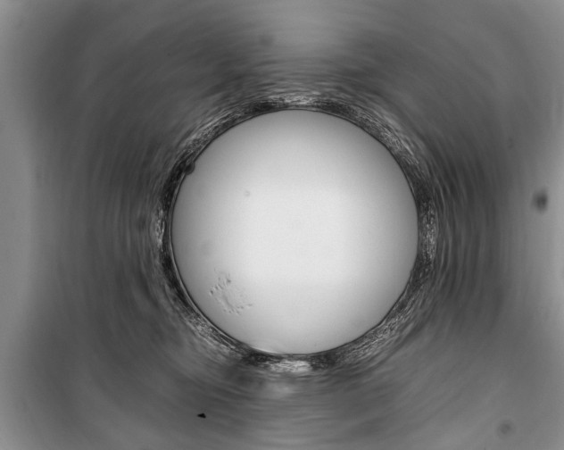 X0000101100374200806261050