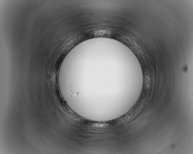 X0000101100375200806261050