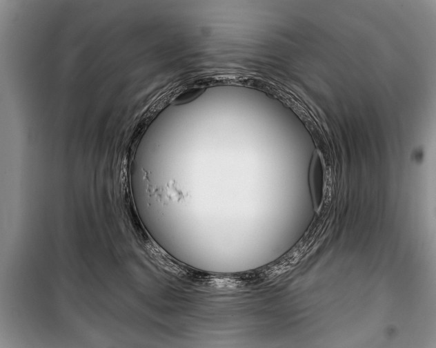 X0000101100376200806261050