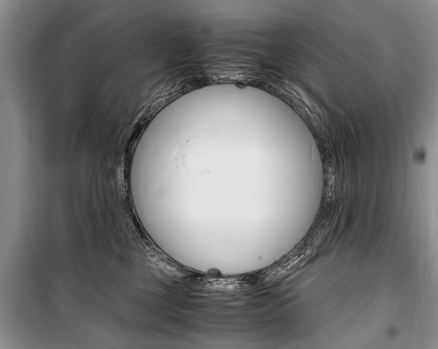 X0000101100377200806261050