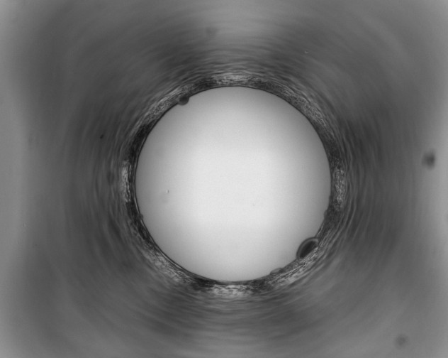 X0000101100378200806261050