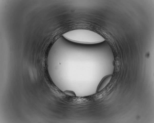 X0000101100379200806261050