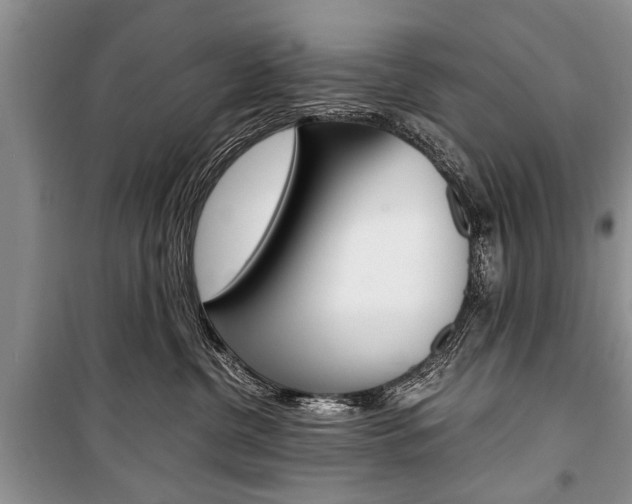 X0000101100380200806261050