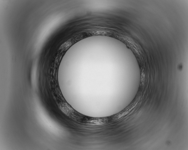 X0000101100381200806261050