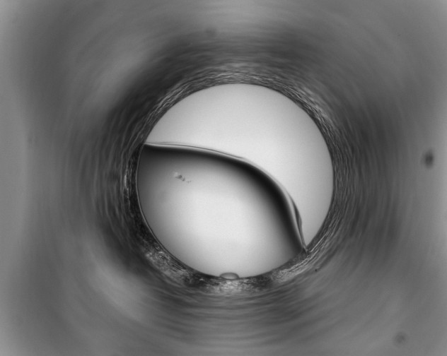X0000101100382200806261050