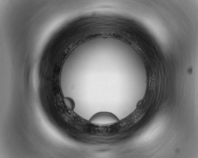 X0000101100383200806261050