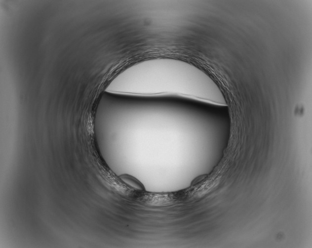 X0000101100384200806261050