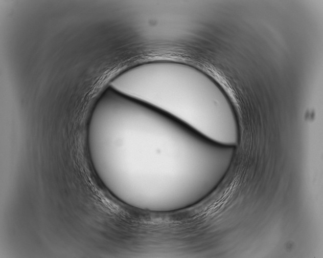X0000101100385200806261050