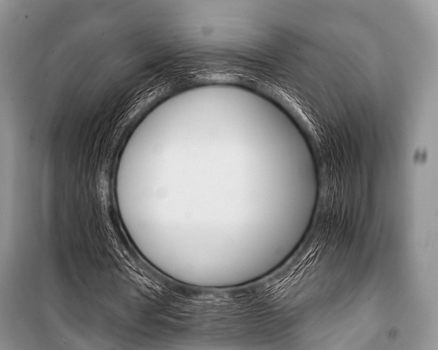 X0000101100386200806261050