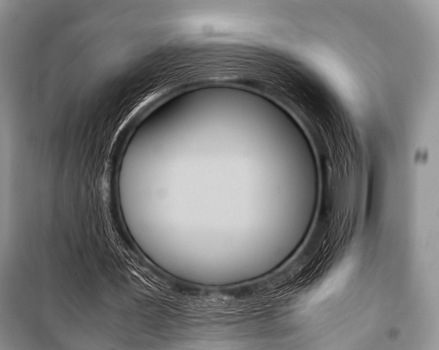 X0000101100387200806261050
