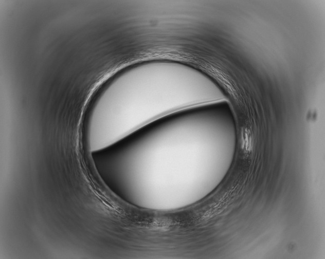 X0000101100388200806261050