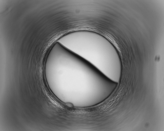 X0000101100389200806261050