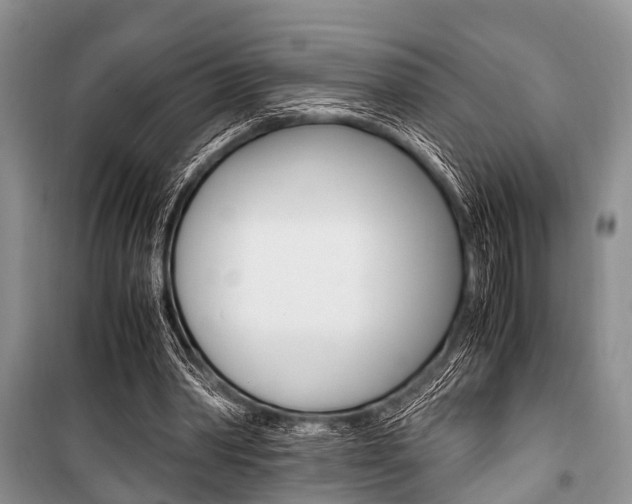 X0000101100390200806261050