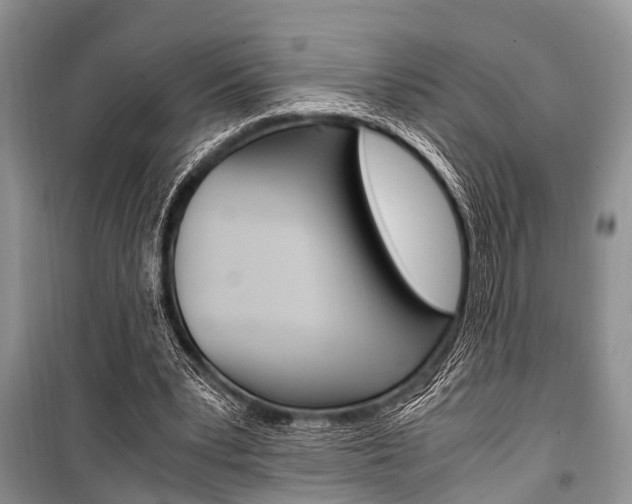 X0000101100391200806261050
