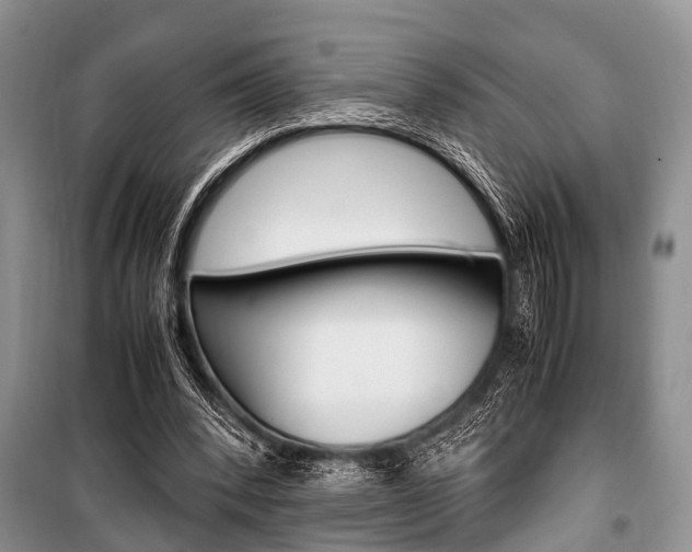 X0000101100392200806261050