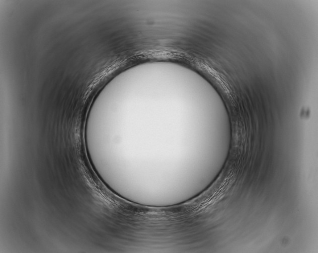 X0000101100394200806261050