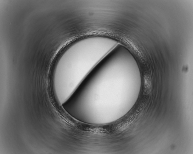 X0000101100396200806261049