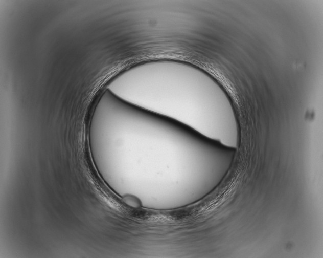 X0000101100397200806261049