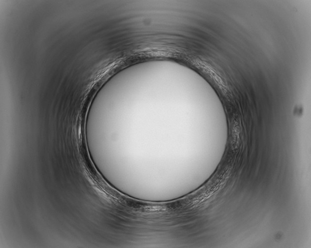 X0000101100398200806261049