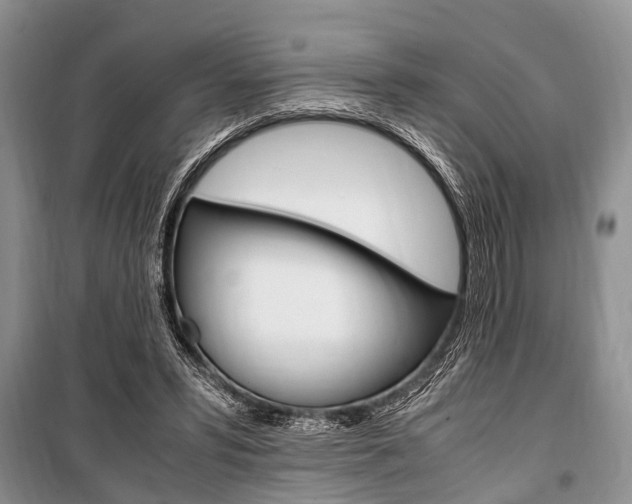 X0000101100399200806261049