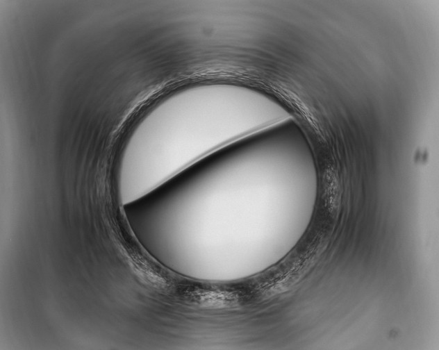 X0000101100400200806261049