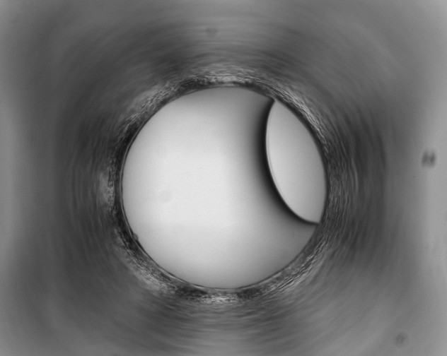 X0000101100402200806261049