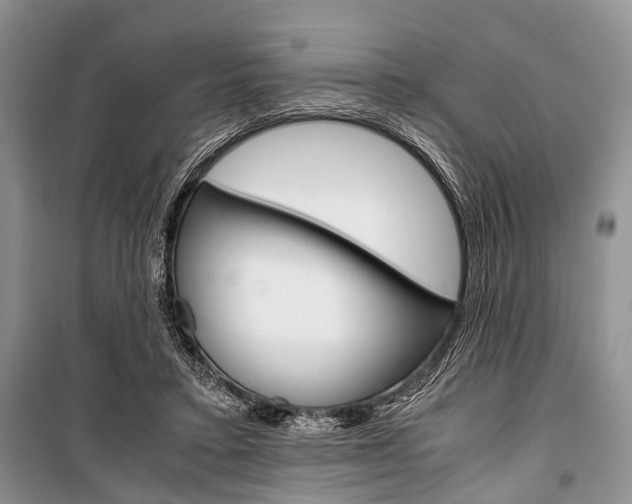 X0000101100403200806261049
