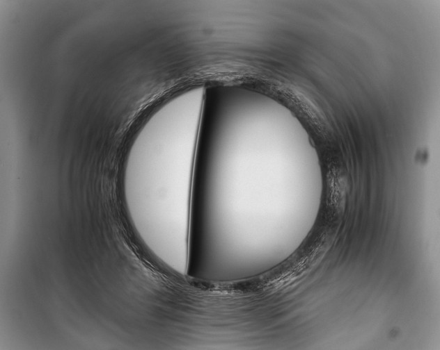 X0000101100404200806261049