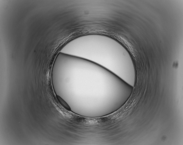 X0000101100405200806261049